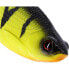 Фото #7 товара WESTIN Ricky The Roach Shadtail Soft Lure 70 mm 6g 40 Units