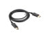 Разъем DisplayPort - DisplayPort Lanberg CA-DPDP-10CC-0018-BK 1.8 м - мужской - мужской - серебряный/золотой - фото #4