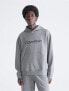 Calvin Klein Men's Relaxed Fit Standard Logo Terry Hoodie Grey Heather L
