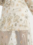 Фото #2 товара Вечернее платье Miss Selfridge – Premium – макси в алых тонах с прозрачным низом и бантовым узором