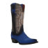 Фото #2 товара Ferrini Roughrider Embroidery Snip Toe Cowboy Womens Black, Blue Casual Boots 8