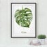 Фото #3 товара Bild Aquarell Botanik Monstera I