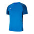 Фото #1 товара Nike Dri-FIT Strike II M CW3544-463 T-shirt