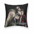 Cushion cover Harry Potter Team 50 x 50 cm