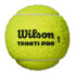Фото #3 товара WILSON Triniti Pro Tennis Ball