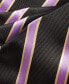ფოტო #2 პროდუქტის Men's Purple & Gold Stripe Tie