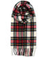 ფოტო #1 პროდუქტის Men's Tartan Plaid Scarf