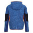 Фото #4 товара REGATTA Dissolver VIII fleece