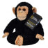 Фото #3 товара SIMBA Disney Stuffed Chimpance 25 cm