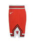 ფოტო #2 პროდუქტის Toddler Boys and Girls Red Chicago Bulls Icon Replica jersey Shorts