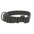 KERBL Goleygo collar and leash