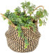 Фото #3 товара Simple Life Seagrass Belly Basket With Handles Foldable Woven Black Natural