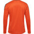 ფოტო #3 პროდუქტის HUMMEL Authentic Poly long sleeve T-shirt