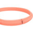 Фото #5 товара TRIXIE Band Flash Usb Collar