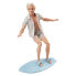 Фото #1 товара BARBIE Ken Signature Movie Collectible Doll With Striped Vest And Surfboard