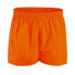 Фото #1 товара SPEEDO Fitted Leisure AM 13´´ Swimming Shorts