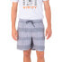 HURLEY Phantom Naturals Volley 18´´ Shorts