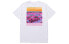 Stussy T-Shirt 1904502-white