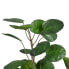 Фото #3 товара Декоративное растение 80 x 77 x 113 cm Зеленый PVC Aralia