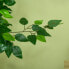 Фото #4 товара Künstliche Ficus-Pflanze 830-799V00GN