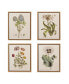 Фото #1 товара Martha Stewart Herbal Botany Set Framed Linen Canvas 4-Pc Set
