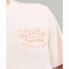 SUPERDRY Vintage Cooper Classic T-shirt