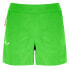 SALEWA Lavaredo Durastretch Shorts Pants