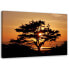 Фото #1 товара Wandbild Baum Sonnenuntergang Landschaft