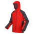 Фото #5 товара REGATTA Britedale softshell jacket