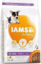 IAMS IAMS Puppy & Junior Small Medium sucha karma dla psa 12kg