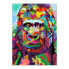 Фото #1 товара Drucken Orang-Utan Pop Art