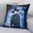 Чехол для подушки Harry Potter McGonagall Разноцветный 50 x 50 cm