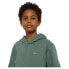 DICKIES Youth Oakport hoodie