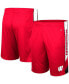 Men's Red Wisconsin Badgers Pool Time Shorts