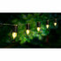Фото #1 товара Светодиодные гирлянды Lumi Garden