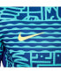 ფოტო #4 პროდუქტის Men's Blue Brazil National Team 2024 Academy Pro Pre-Match Top