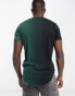 Фото #4 товара Hollister x ASOS exclusive centre logo ombre curved hem t-shirt in black/green