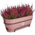 Фото #5 товара Ящик для цветов elho Planter 50 cm Pink Plastic