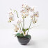 Фото #7 товара Искусственные цветы Homescapes Phalaenopsis-Orchidee в белом цвете 62 см