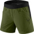 Фото #1 товара DYNAFIT Transalper Hybrid Shorts