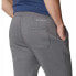 Фото #4 товара COLUMBIA Logo™ Jogger II Pants