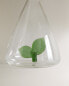 Vegetable borosilicate cruet