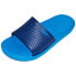 RAS Blue Slides