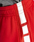 ფოტო #7 პროდუქტის Little Boys Dri-FIT Elite Shorts