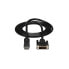 StarTech.com 6ft (1.8m) DisplayPort to DVI Cable - DisplayPort to DVI Adapter Cable 1080p Video - DisplayPort to DVI-D Cable Single Link - DP to DVI Monitor Cable - DP 1.2 to DVI Converter - 1.8 m - DisplayPort - DVI-D - Male - Male - Straight