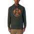 Фото #1 товара NORTH SAILS Graphic Hoodie