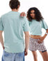 Фото #4 товара Dickies short sleeved mapleton t-shirt in light blue