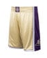 Men's Kobe Bryant Gold-Tone Los Angeles Lakers Hall of Fame Class of 2020 Authentic Hardwood Classics Shorts