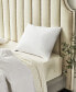 Softy-Around White Feather & Down Cotton 2-Pack Pillow, King