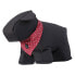 Фото #6 товара TOTTO Kamm Pet Bandana Scarf